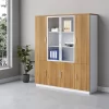 Tủ hồ sơ văn phòng hiện đại - TTLDK09